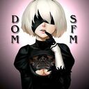 Domsfm
