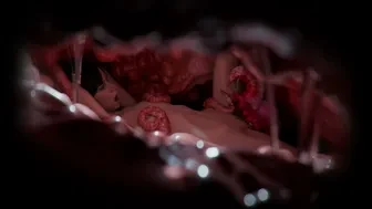 Garden Meat thumbnail