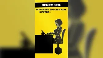 [Zoquete] I found this instructional tape in a parallel universe. (Fallout) thumbnail