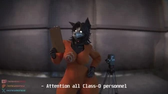Malo Experiment - Class D thumbnail