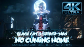 Black Cat & Spider-Man [NO WM][Hairy][4K60FPS] thumbnail