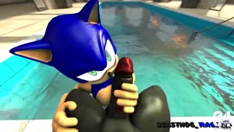 Sonic and Shadow [DarkBeasthog] thumbnail