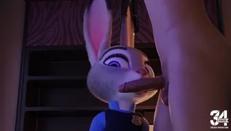 Judy Comp Warm