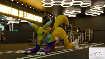 5x30 renamon (meme) thumbnail