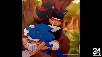 Shadow and Sonic [SavannaDragonn]