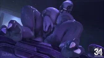 sangheili fingering herslef miniature