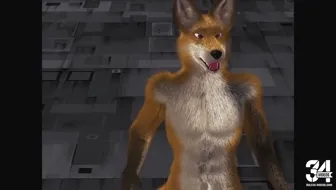 Evil Box Taurin Fox thumbnail