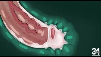 Midna's butt thumbnail