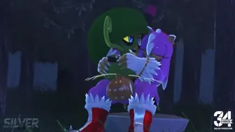 Zeena and Wetehog Amy thumbnail