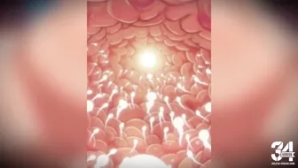 Need to Breed- Impregnation/Pregnancy HMV thumbnail