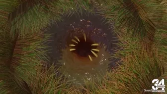 Swallowed whole by sunsetsarsaparilla thumbnail