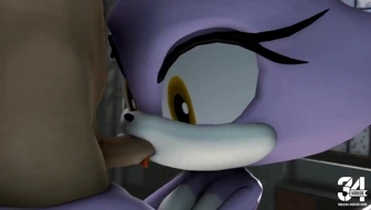 Blaze Blowjob [Ari is very sad] thumbnail