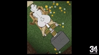 Minecraft porn thumbnail