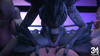 Male Human x Female Kig-Yar Female Skirmisher and Female Sangheili [Twitchyanimation] thumbnail