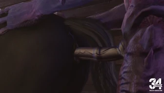 Back at the Barnyard (2/3) thumbnail