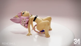 Kitty training thumbnail