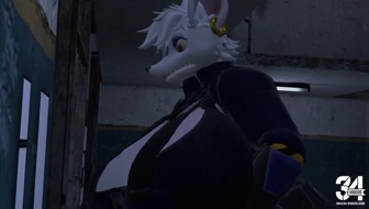 Officer Flint inspection thumbnail