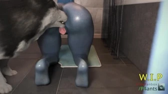 Liara 3 thumbnail